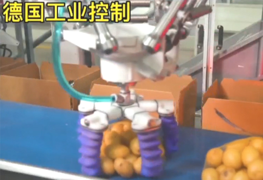 機(jī)器人實操視頻展示